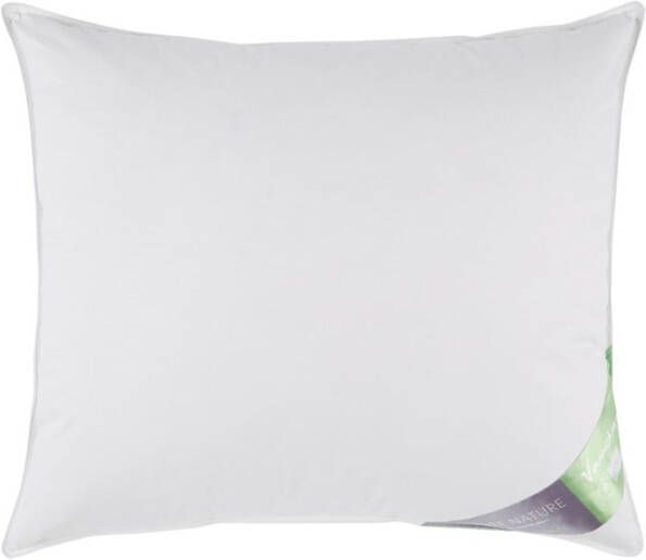 Vandyck Pure Nature medium hoofdkussen 60 x 70 cm