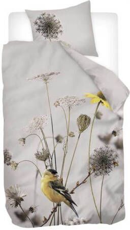 Snoozing Goldfinch Dekbedovertrek Eenpersoons 140x200/220 Cm Multi Kleur