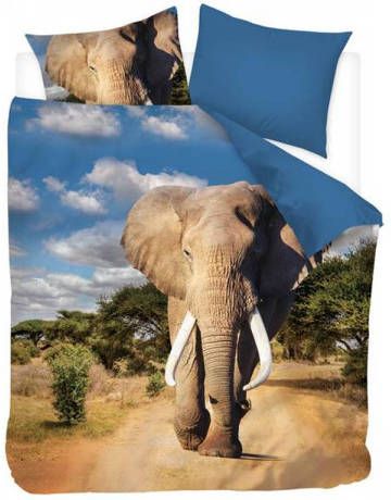 Snoozing Imani Dekbedovertrek Tweepersoons 200x200/220 Cm Multi Kleur