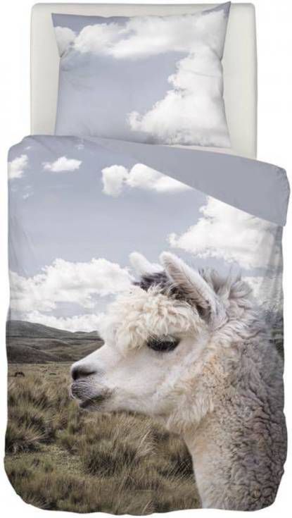 Snoozing Kelvin Dekbedovertrek 1 persoons(140x200/220 Cm + 1 Sloop) Katoen Multi