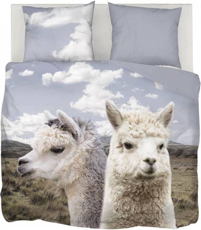 Snoozing Kelvin Dekbedovertrek Lits jumeaux(240x200/220 Cm + 2 Slopen) Katoen Multi