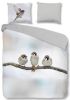 Good Morning Sparrow flanel dekbedovertrek Lits-jumeaux (240x200/220 cm + 2 slopen) online kopen