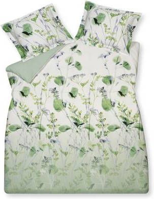 Vandyck Violet Dreams dekbedovertrekset van katoensatijn 200TC inclusief kussenslopen