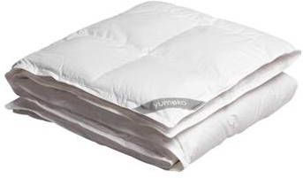 Yumeko Dekbed Dons 240x220 cm Winter