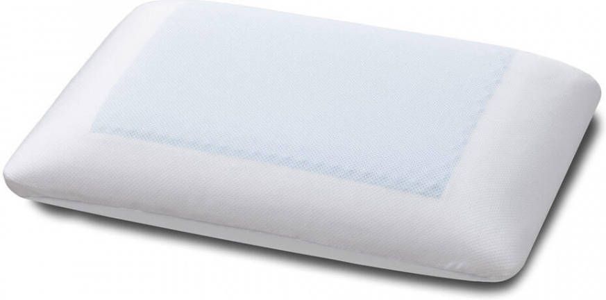 Leen Bakker Hoofdkussen Traagschuim Coolgel 60x40 cm