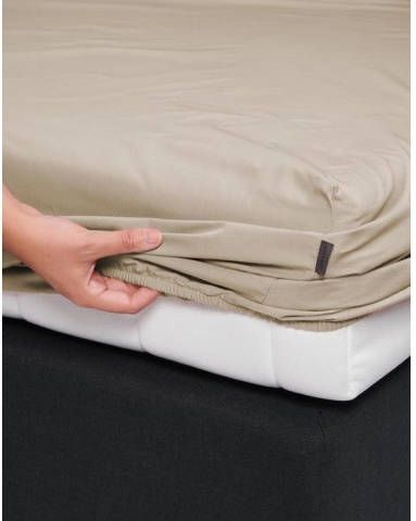 ESSENZA Minte hoeslaken van katoensatijn 300TC, hoekhoogte 35 cm