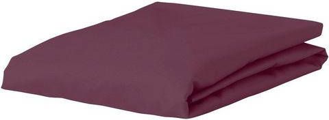 Esprit Hoeslaken SHEET met elastiek(1 stuk )