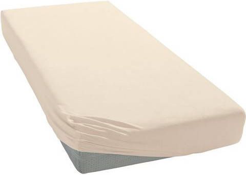 Janine Hoeslaken ELASTIC 5002/met rondom elastiek(1 stuk )