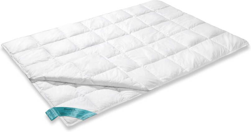 Vandyck donzen 4 seizoenen dekbed